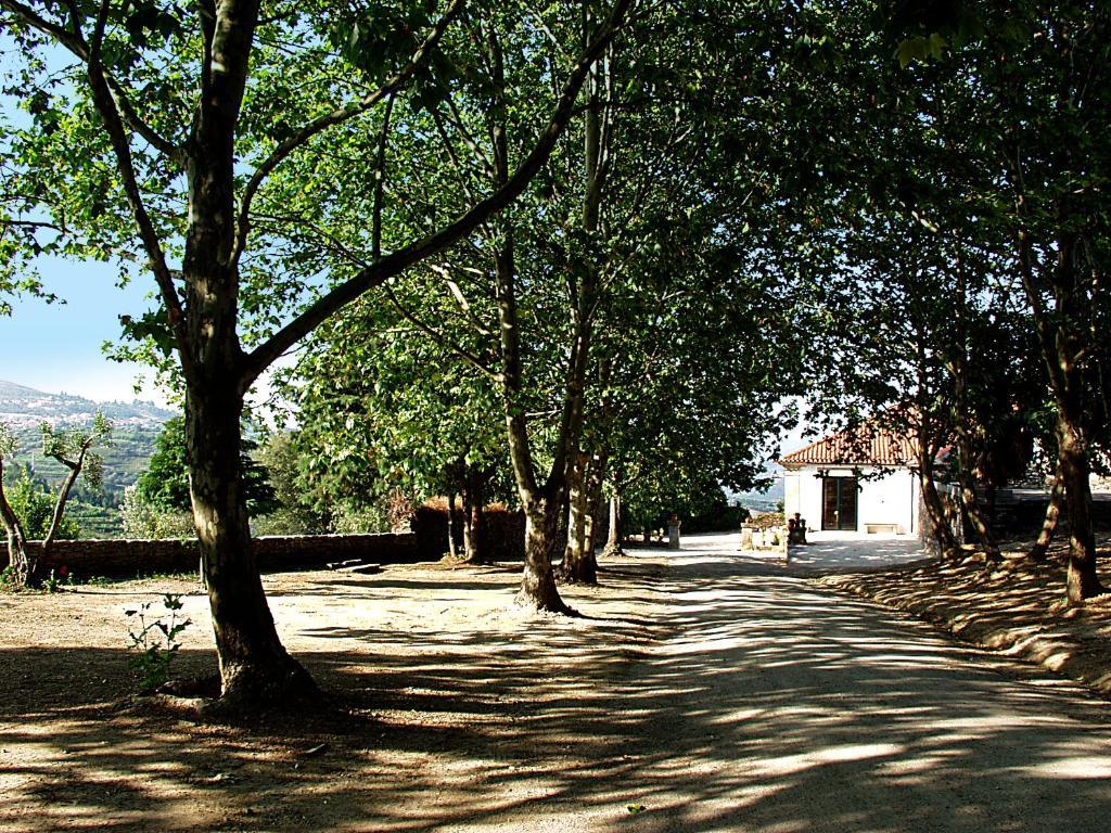Casa De Vilarinho De S. Romao Sabrosa Ngoại thất bức ảnh